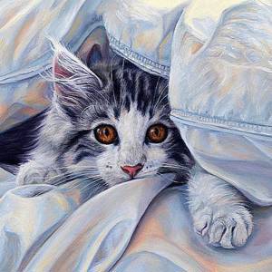 Алмазная вышивка (набор) - "Кошка под одеялом"