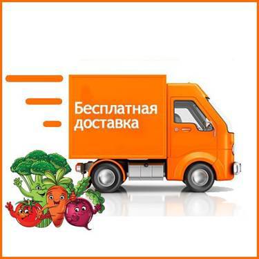 🍅🥒🥦Предлагаем большой выбор семян овощей и цветов,товары для сада, скидка+бесплатная доставка, работаем с СП🥬🥒