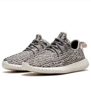 adidas yeezy boost 350 turtle dove Kanye West