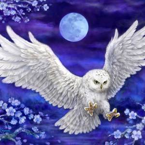 Картина по номерам Raduga (Paintboy) «охота белой совы»