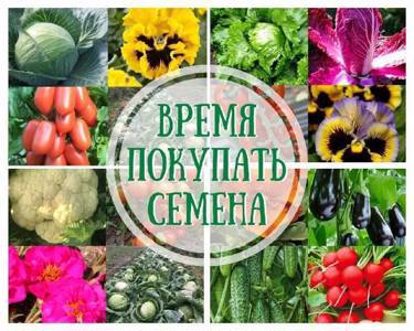 🍅🥒🥦ПРЕДЛАГАЕМ БОЛЬШОЙ ВЫБОР СЕМЯН ОВОЩЕЙ И ЦВЕТОВ🌶🥬🥒БЕСПЛАТНАЯ ДОСТАВКА🍅🥕🌽