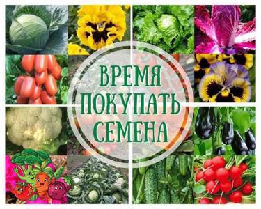 🍅🥒🥦ПРЕДЛАГАЕМ БОЛЬШОЙ ВЫБОР СЕМЯН ОВОЩЕЙ И ЦВЕТОВ🌶🥬🥒БЕСПЛАТНАЯ ДОСТАВКА🍅🥕🌽