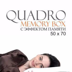 РџРѕРґСѓС€РєР° "Quadro Memory Box" 50*70, MB-5377