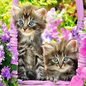 Картина по номерам Paintboy «пара котят в сиреневых цветах»