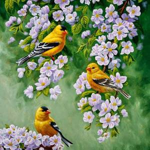 Картина по номерам Raduga (Paintboy) «желтые птицы на цветущей яблоне»