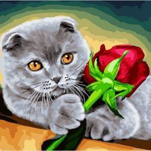 Картина по номерам 40х50см арт. MCA1757  "Кот с розой"