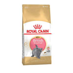 Корм Royal Canin корм для британских короткошерстных котят 4-12 мес.