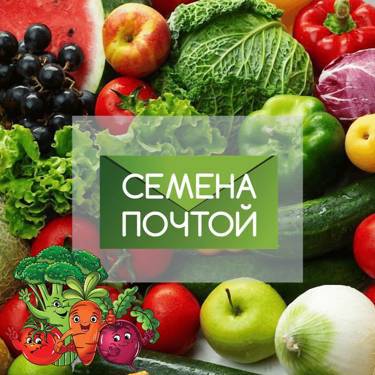 🍅🥒🥦ПРЕДЛАГАЕМ БОЛЬШОЙ ВЫБОР СЕМЯН ОВОЩЕЙ И ЦВЕТОВ, РАБОТАЕМ С СП🌶🥬🥒УВЕЛИЧИВАЕМ СКИДКИ, БЕСПЛАТНАЯ ДОСТАВКА🍅🥕