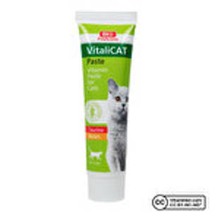 Bio PetActive Kedi Macunu Vitalicat 100 mL