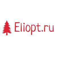 eliopt.ru