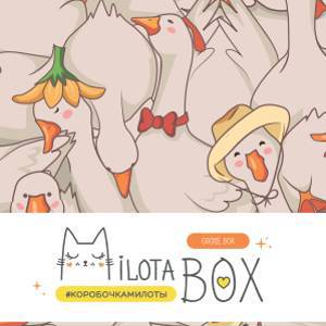 MilotaBox mini "Goose Box"